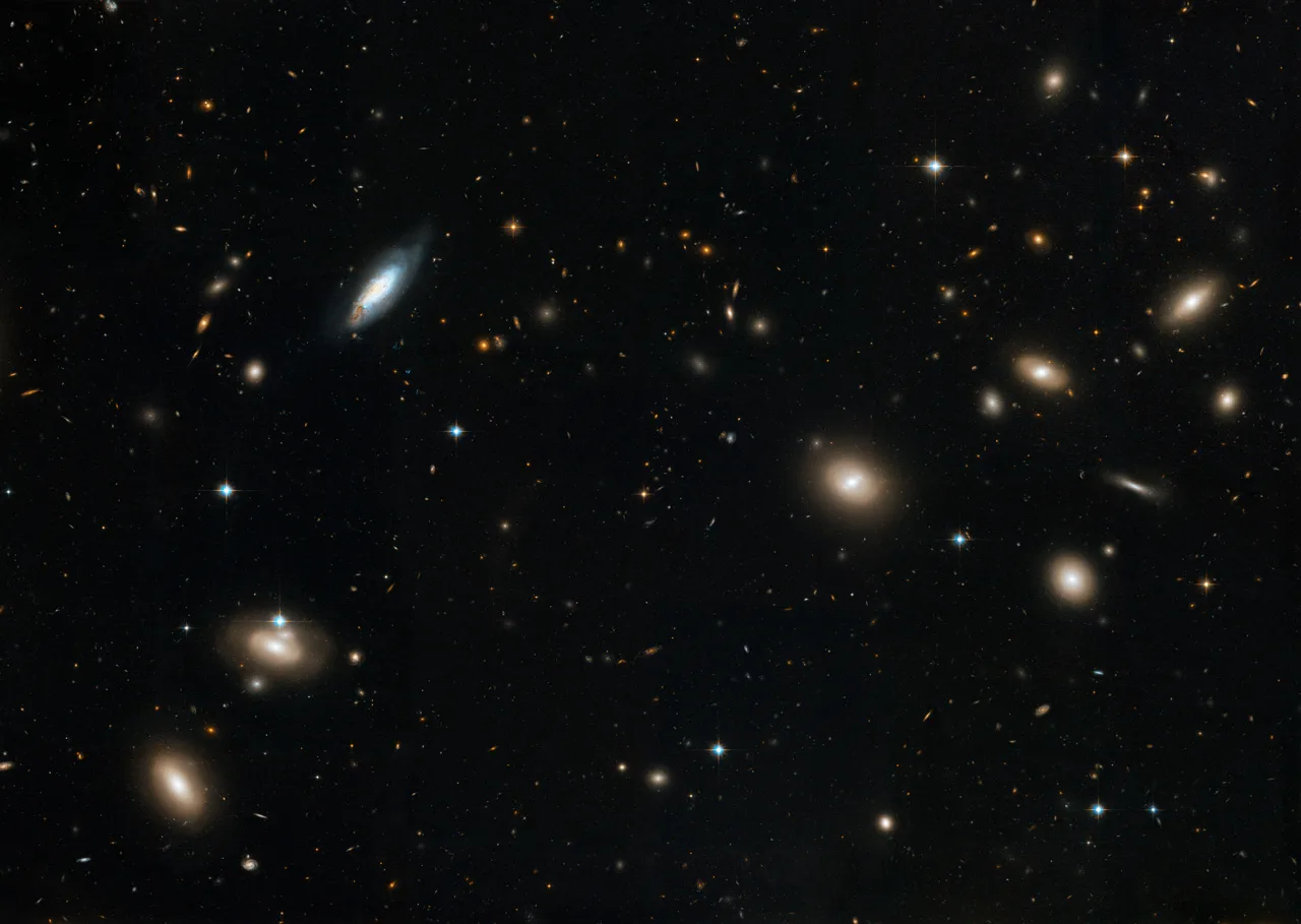 coma-cluster-jpg