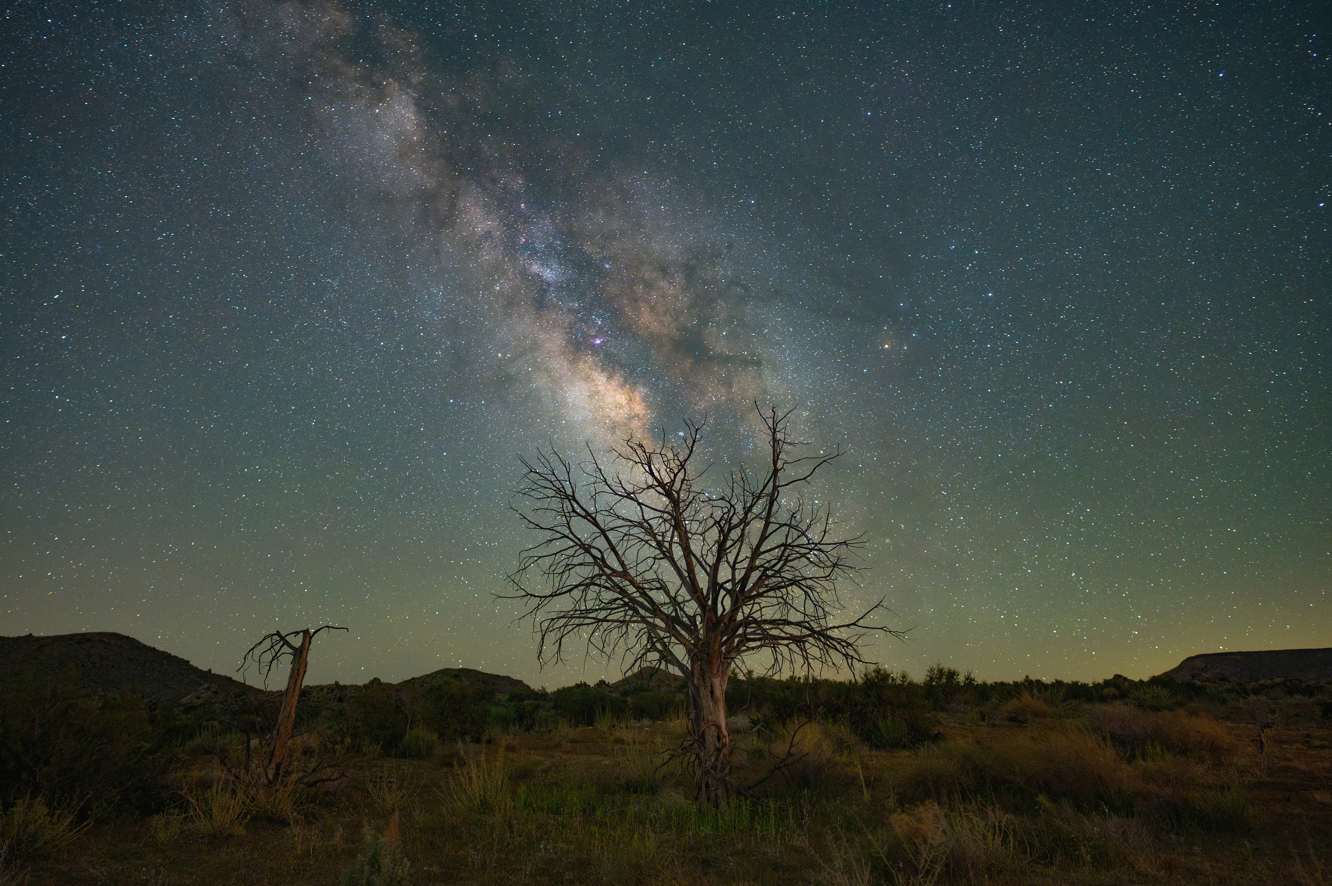 milkyway-desrt-tree-credit-preston-dyches